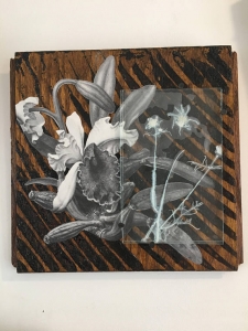 Mixed Media Collage with Cosmo Flower / Main Image